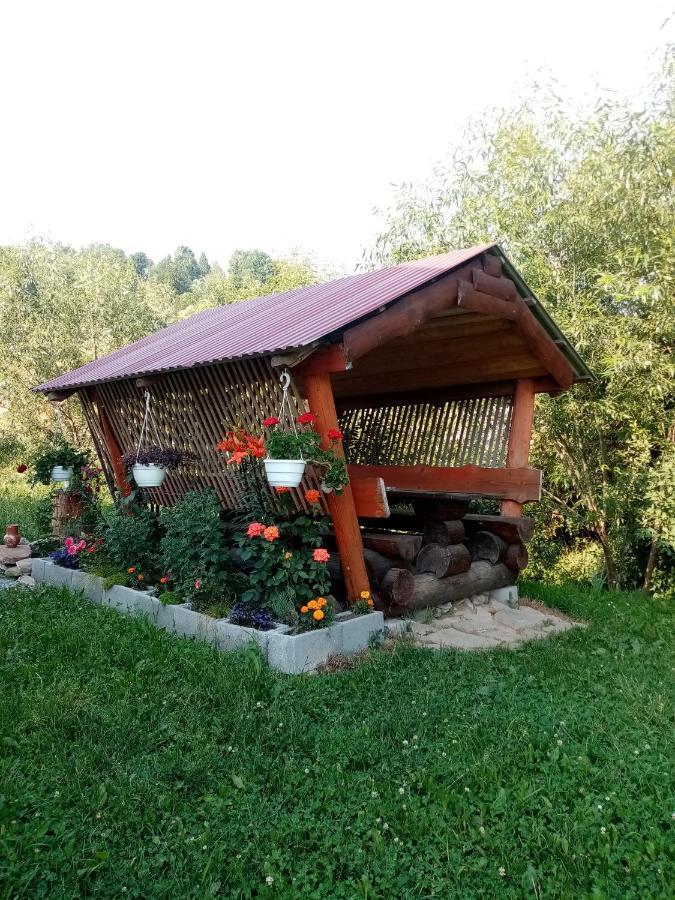 Sadyba Sunny House Pilipets 외부 사진